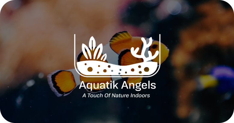 Aquatic Angels